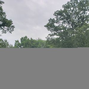 Meet your Posher, Harley